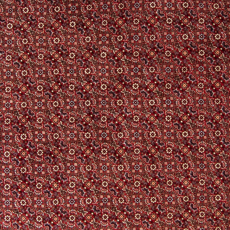 Bidjar Koberec 250x250cm - Perský koberec