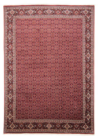 Bidjar Koberec 248x347cm - Perský koberec – product image