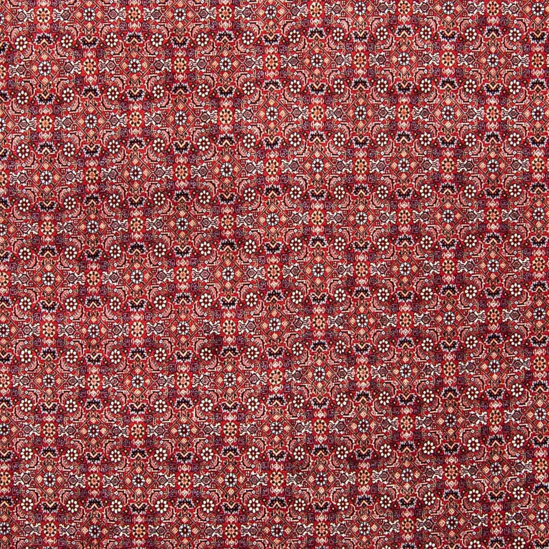 Bidjar Koberec 248x347cm - Perský koberec