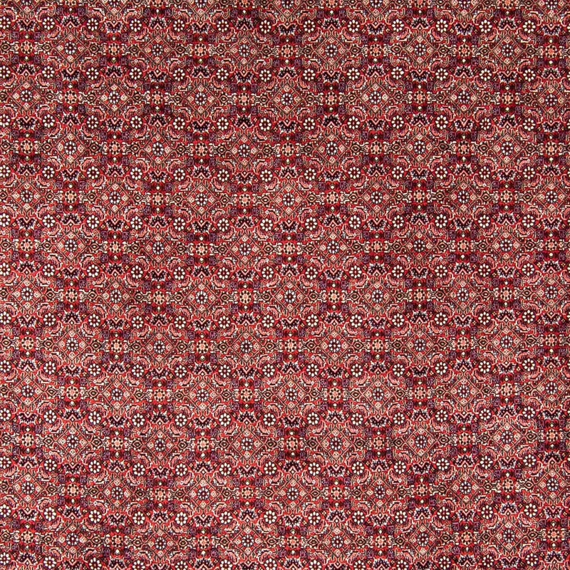 Bidjar Koberec 246x350cm - Perský koberec