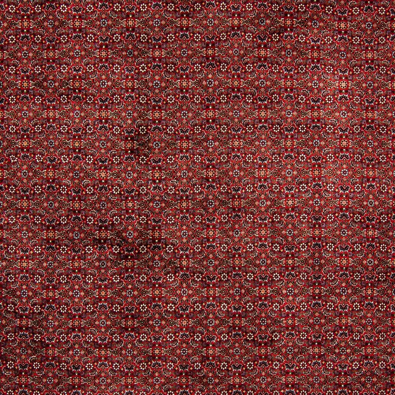 Bidjar Koberec 392x299cm - Perský koberec