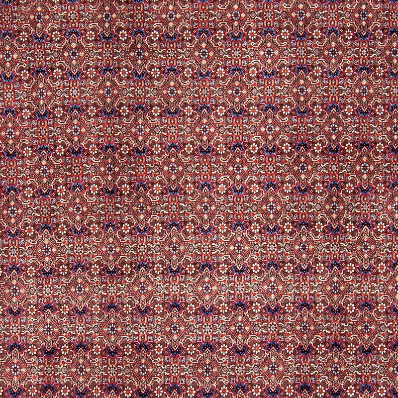 Bidjar Koberec 250x292cm - Perský koberec