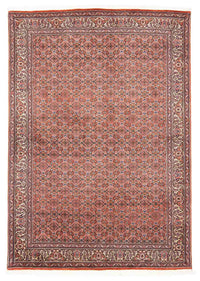 Bidjar Koberec 168x239cm - Perský koberec – product image
