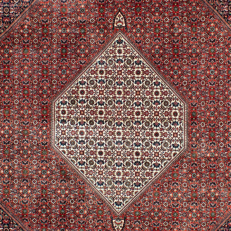 Bidjar Koberec 208x301cm - Perský koberec
