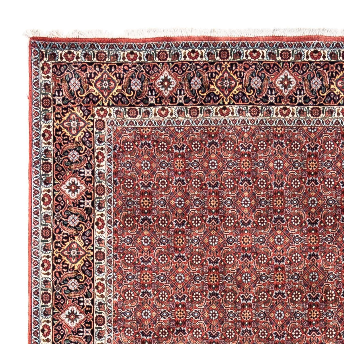 Bidjar - Takab Koberec 204x306cm - Perský koberec
