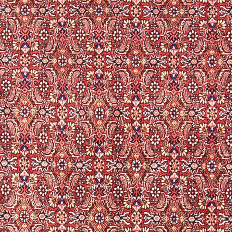 Bidjar Koberec 248x307cm - Perský koberec
