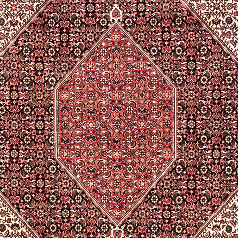 Bidjar - Takab Koberec 252x349cm - Perský koberec