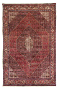 Bidjar Koberec 249x382cm - Perský koberec - tmavě červená – product image
