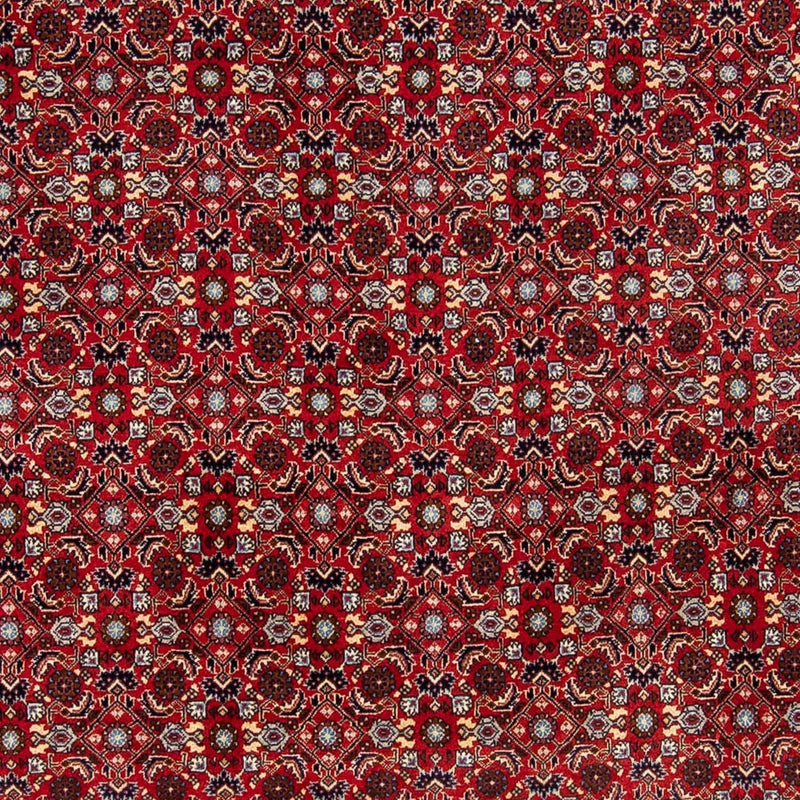 Bidjar Koberec 251x175cm - Perský koberec