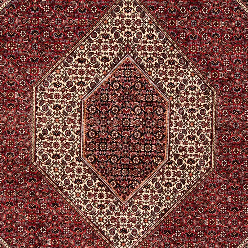 Bidjar Koberec 205x252cm - Perský koberec - tmavě červená