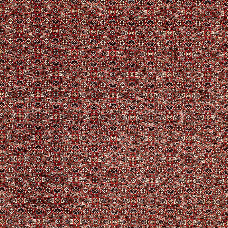 Bidjar Koberec 300x206cm - Perský koberec