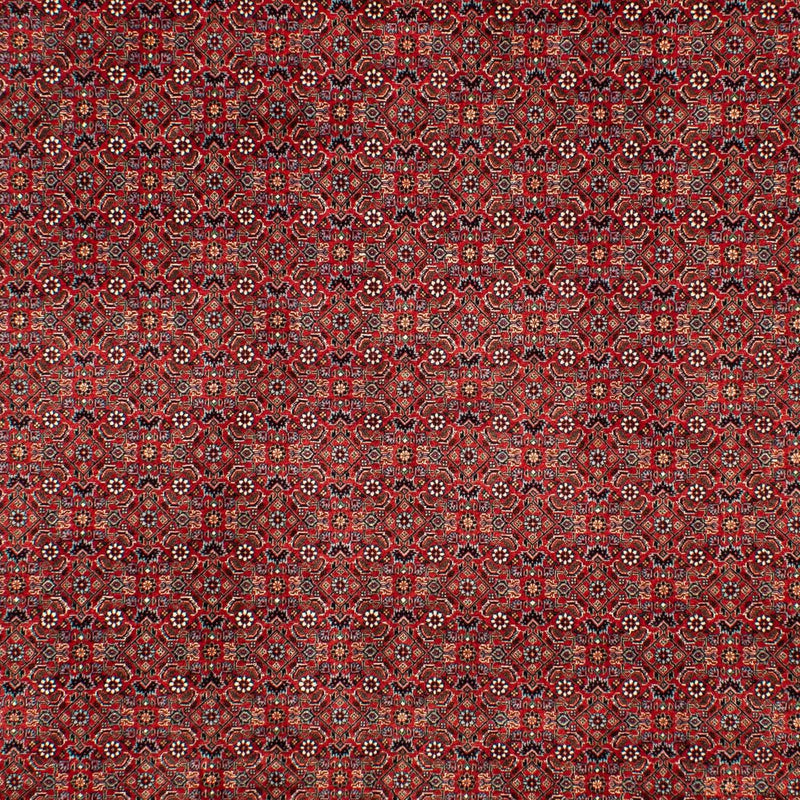 Bidjar Koberec 205x298cm - Perský koberec - tmavě červená
