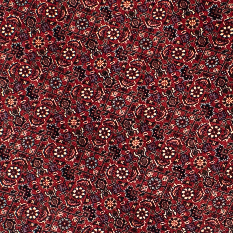 Bidjar Koberec 155x155cm - Perský koberec - tmavě červená