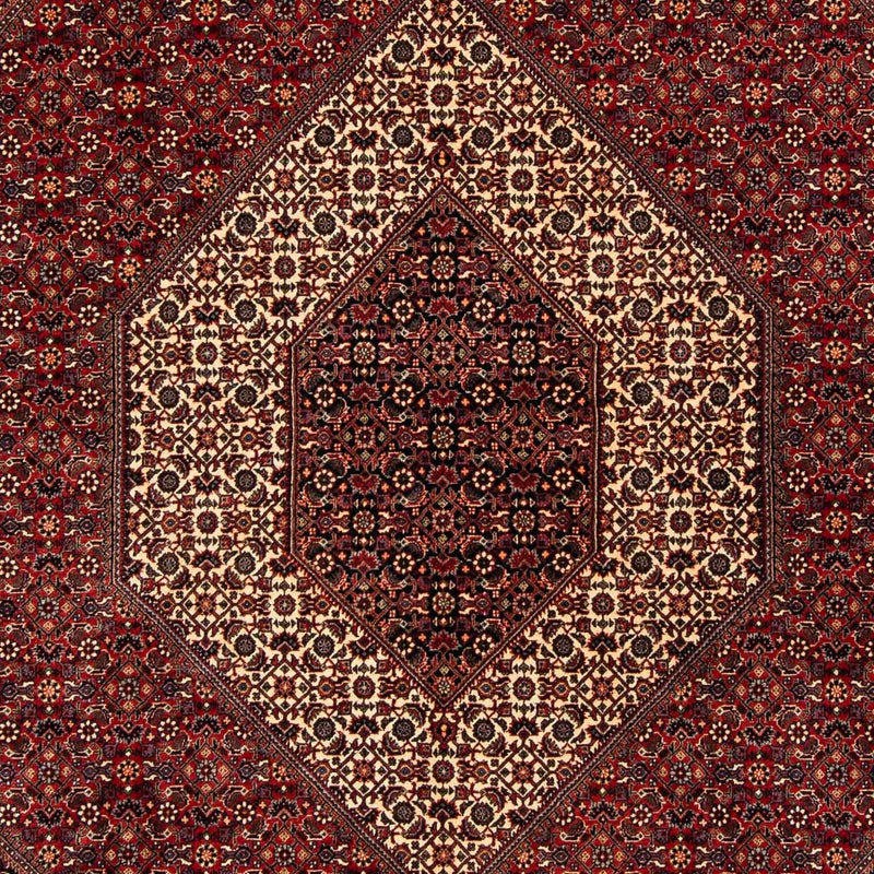 Bidjar Koberec 204x254cm - Perský koberec - tmavě červená