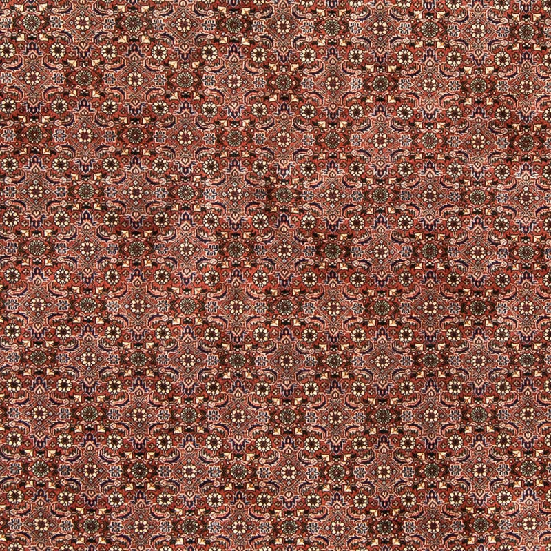 Bidjar Koberec 167x235cm - Perský koberec