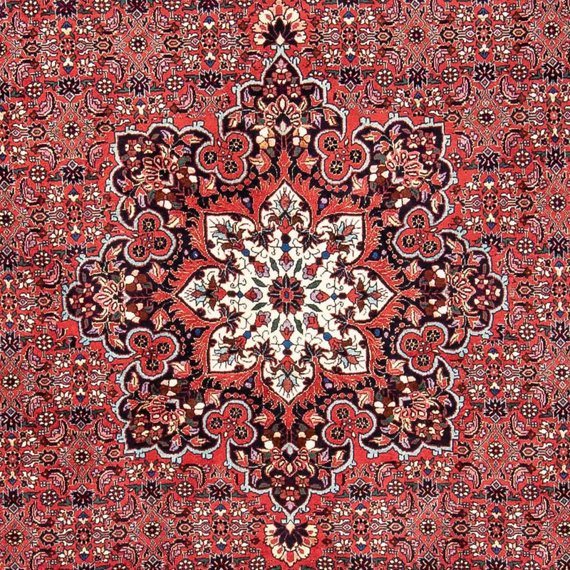Bidjar Koberec 170x240cm - Perský koberec