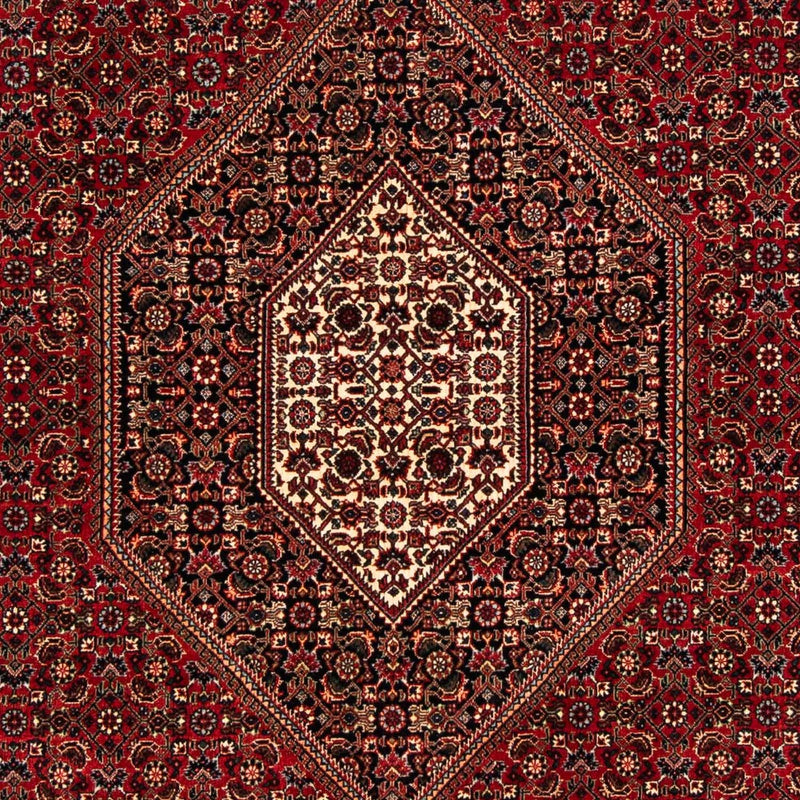 Bidjar Koberec 261x164cm - Perský koberec