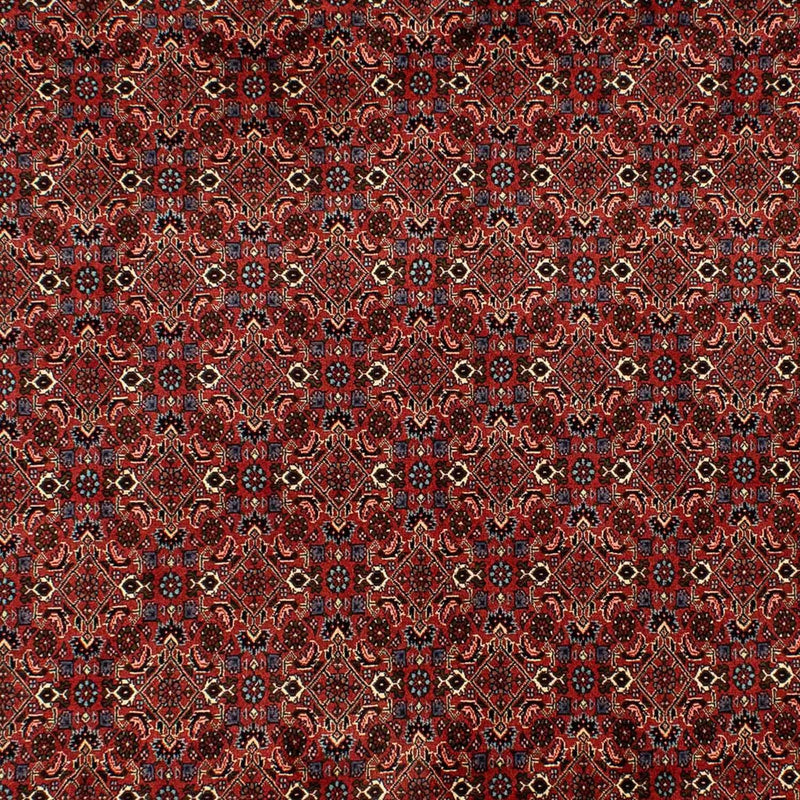 Bidjar Koberec 200x284cm - Perský koberec