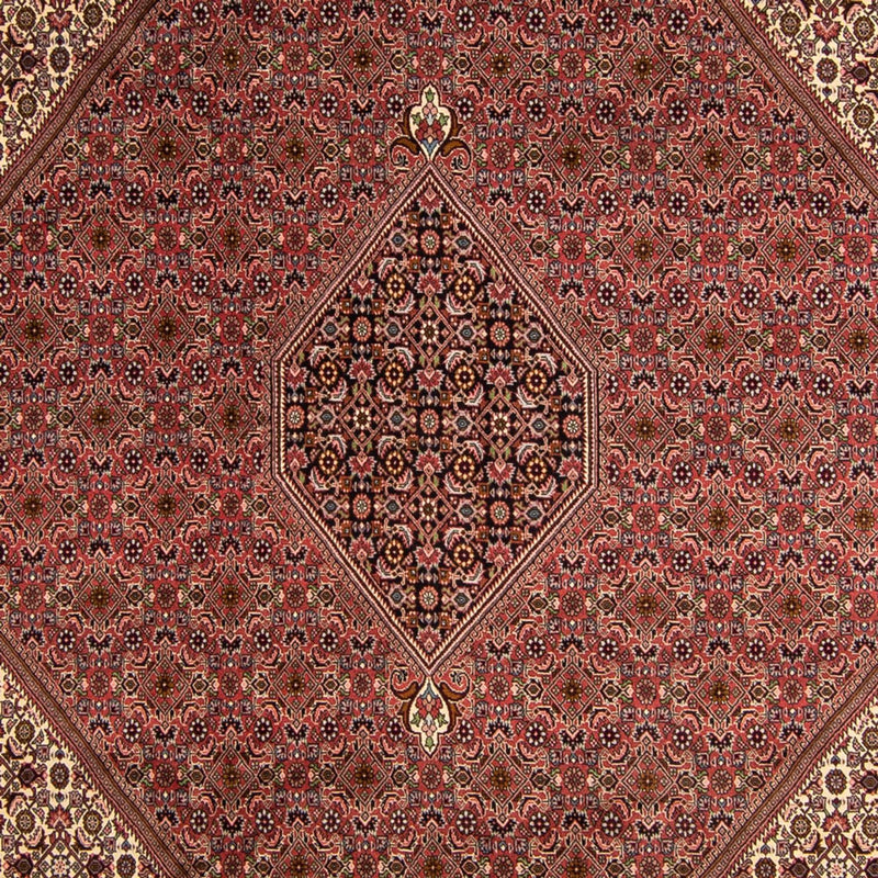 Bidjar Koberec 245x350cm - Perský koberec - hnědá
