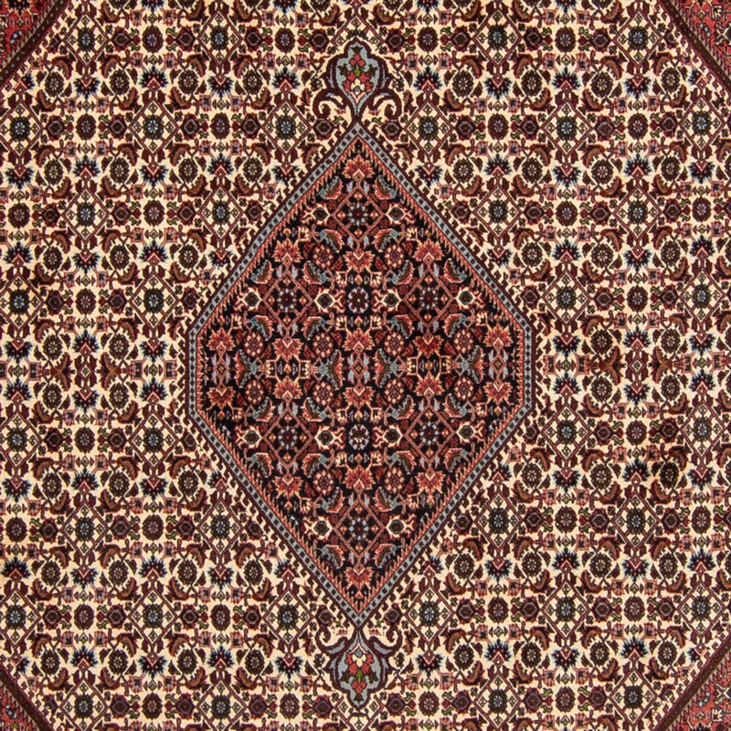 Bidjar Koberec 252x343cm - Perský koberec - tmavě červená