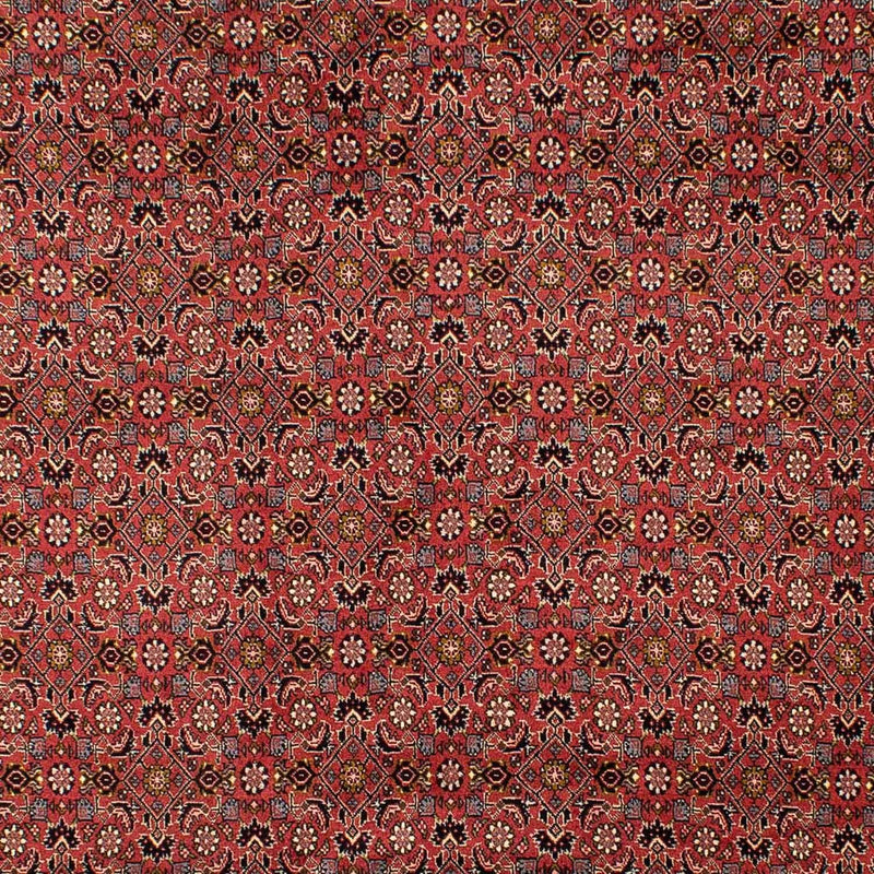 Bidjar Koberec 293x206cm - Perský koberec