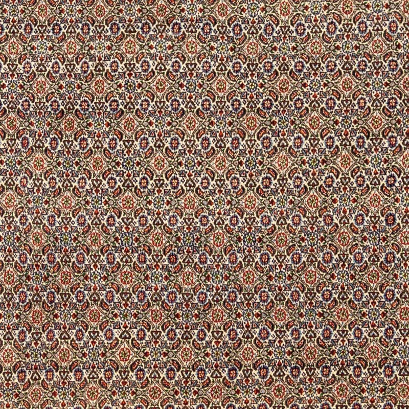 Moud Koberec 238x346cm - Perský koberec