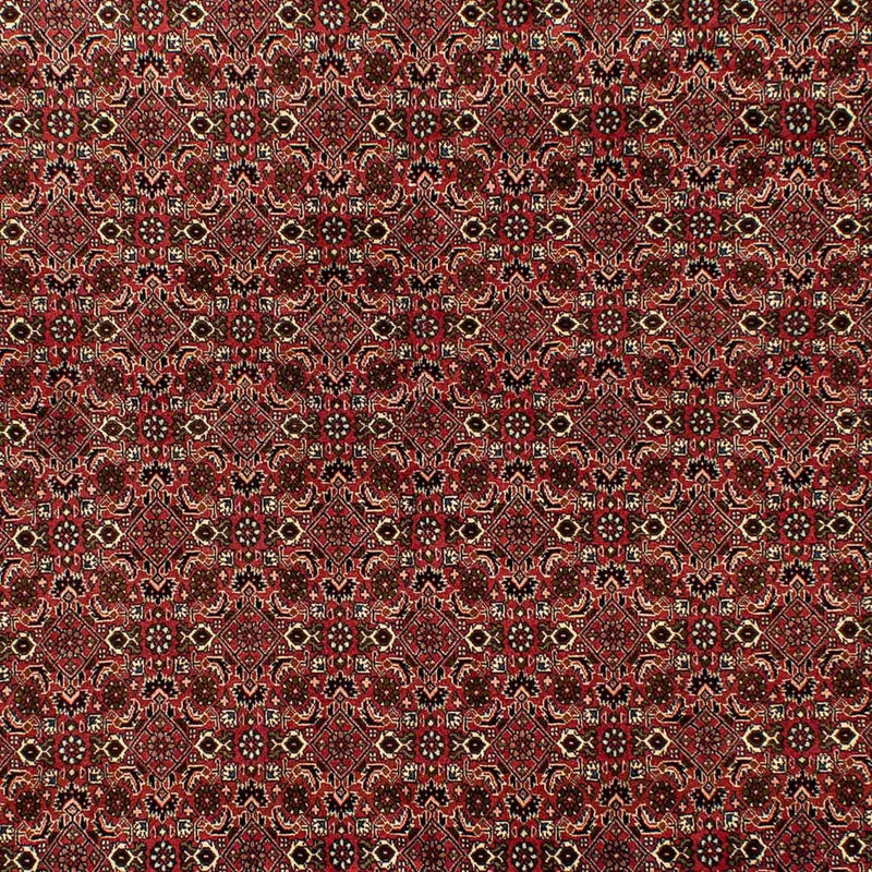 Bidjar Koberec 202x284cm - Perský koberec