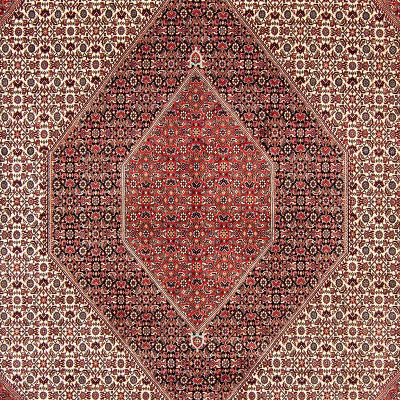 Bidjar Koberec 298x404cm - Perský koberec
