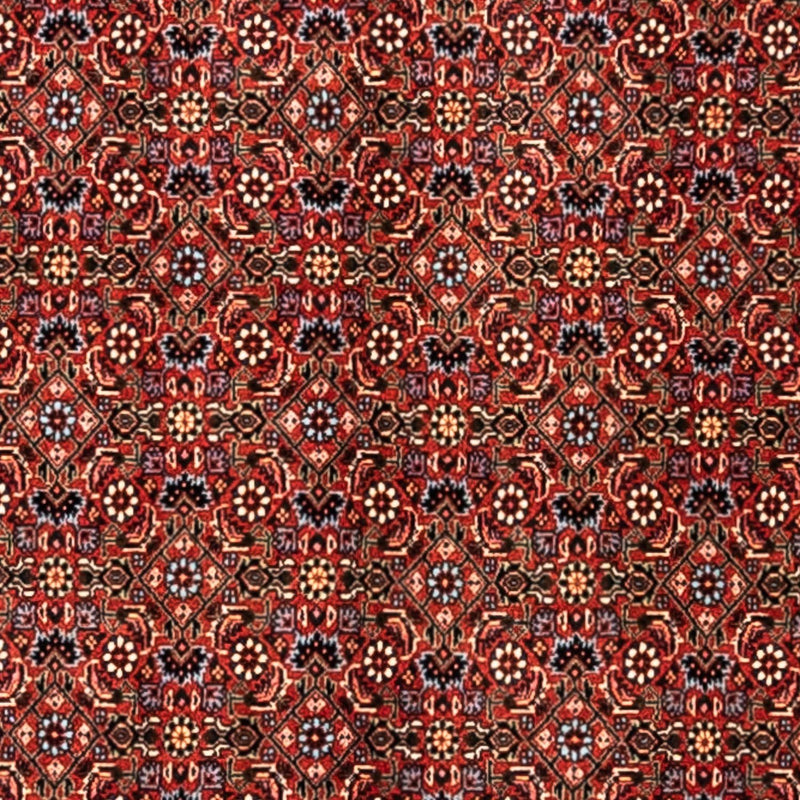 Bidjar - Takab Koberec 248x363cm - Perský koberec