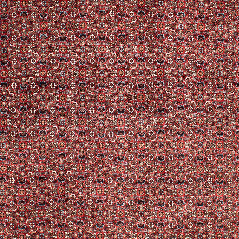 Bidjar Koberec 203x290cm - Perský koberec