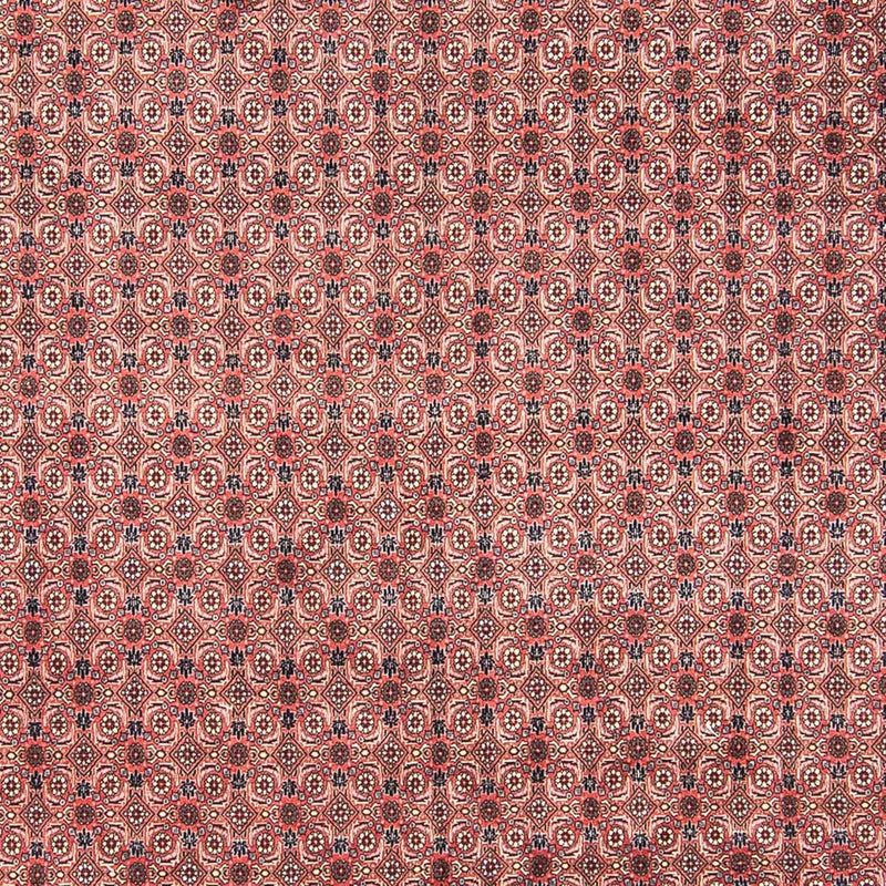 Bidjar Koberec 254x308cm - Perský koberec