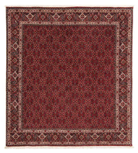 Bidjar Koberec 206x212cm - Perský koberec - tmavě červená – product image