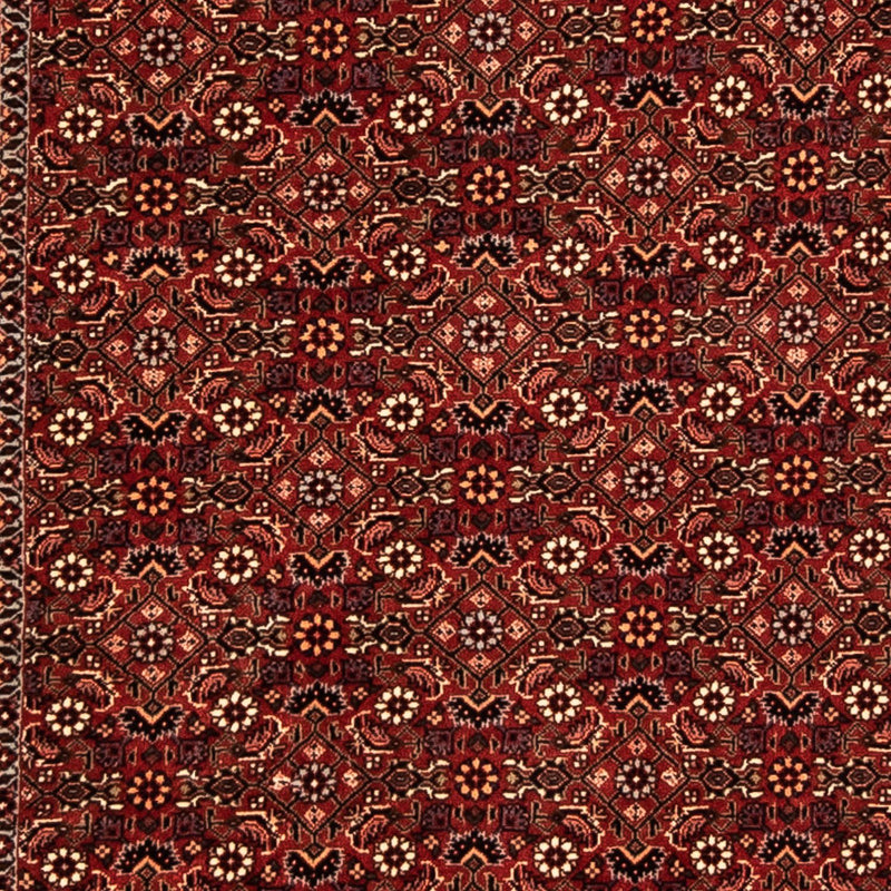 Bidjar Koberec 304x86cm - Perský koberec