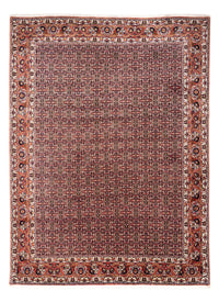 Bidjar - Takab Koberec 248x332cm - Perský koberec – product image