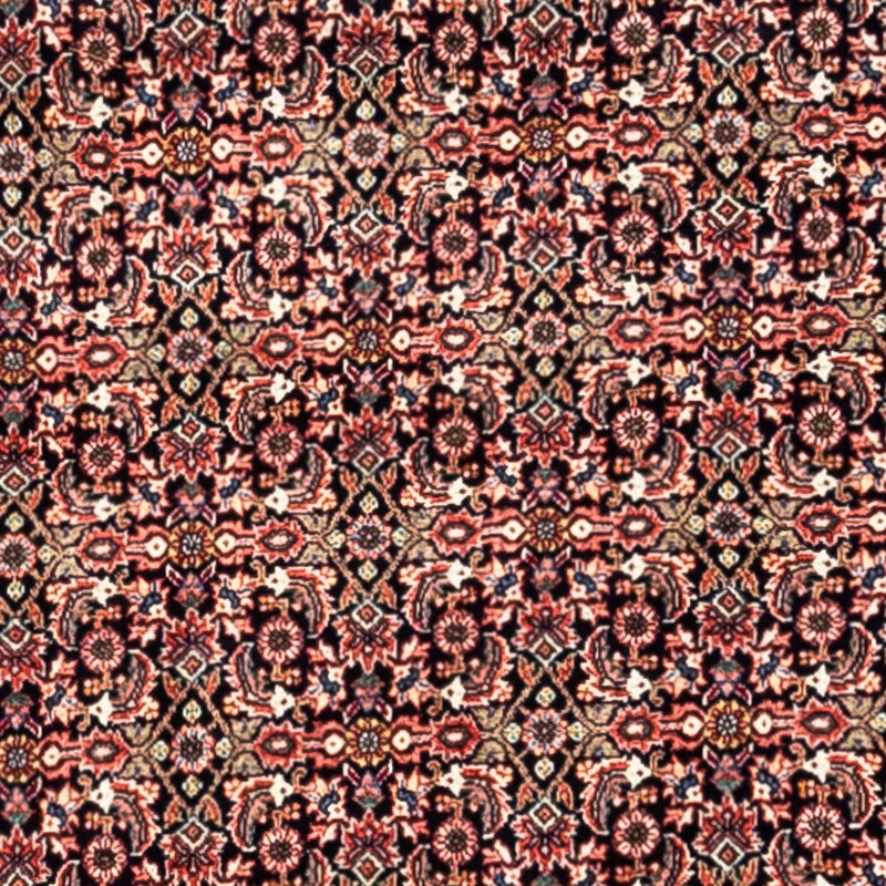 Bidjar - Takab Koberec 248x332cm - Perský koberec