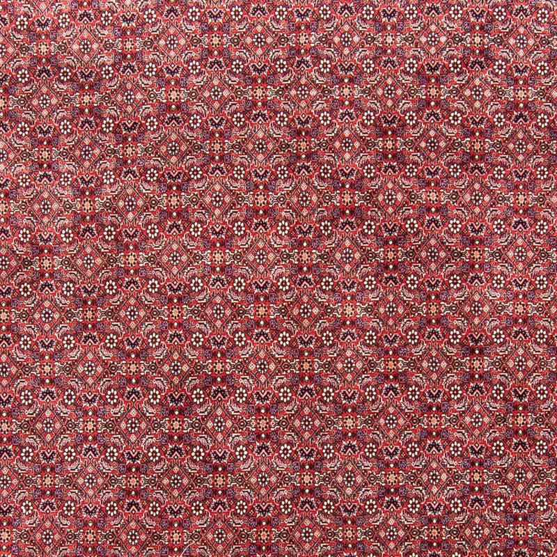 Bidjar Koberec 343x251cm - Perský koberec