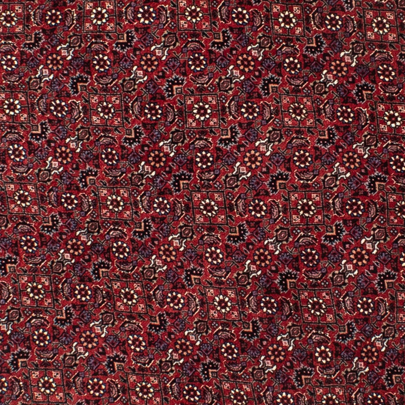 Bidjar Koberec 150x150cm - Perský koberec - tmavě červená