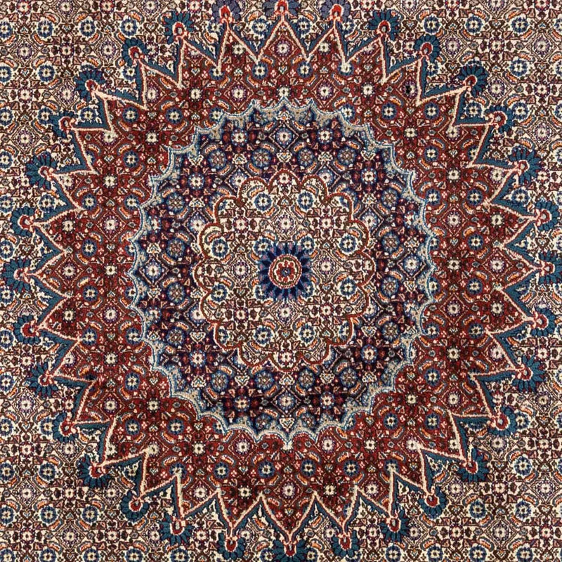Moud Koberec 245x332cm - Perský koberec