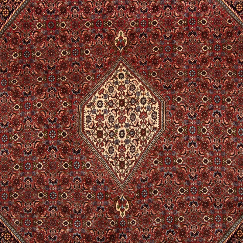 Bidjar Koberec 255x329cm - Perský koberec