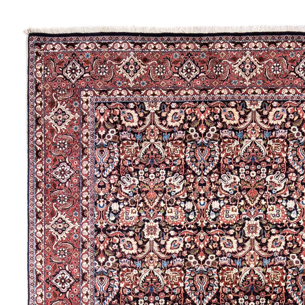 Bidjar - Takab Koberec 258x348cm - Perský koberec