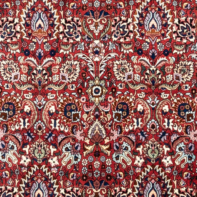 Bidjar - Takab Koberec 255x343cm - Perský koberec