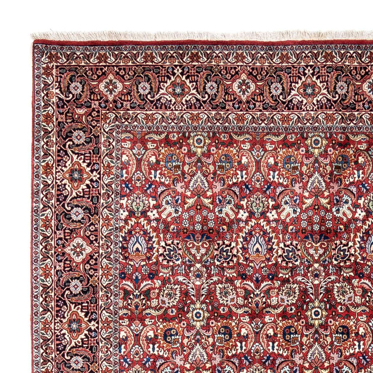 Bidjar - Takab Koberec 255x343cm - Perský koberec