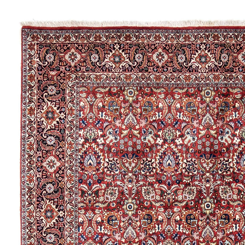 Bidjar - Takab Koberec 255x343cm - Perský koberec
