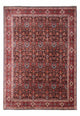 Bidjar - Takab Koberec 256x342cm - Perský koberec