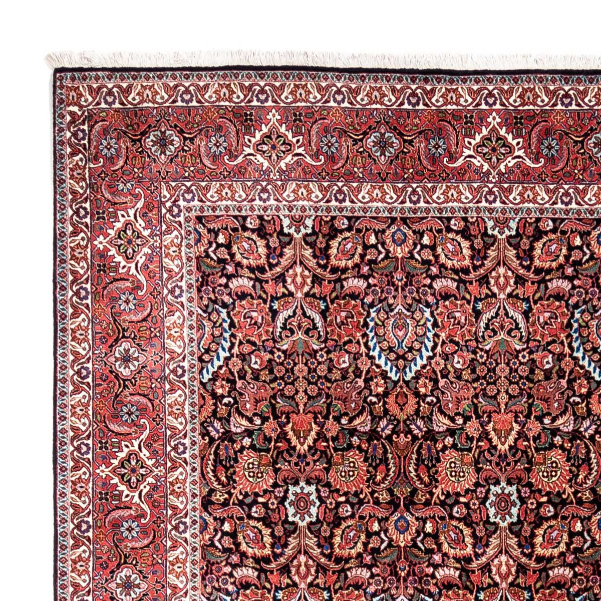 Bidjar - Takab Koberec 256x342cm - Perský koberec