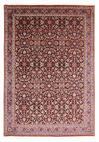 Bidjar Koberec 256x351cm - Perský koberec – product image