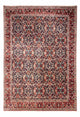 Bidjar - Takab Koberec 253x357cm - Perský koberec