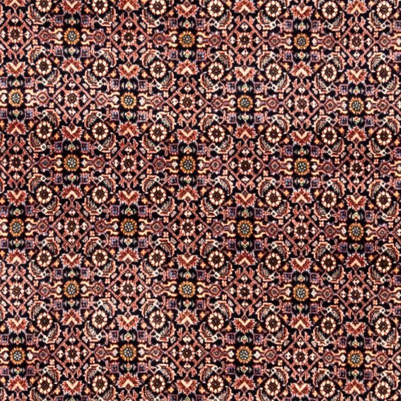 Bidjar - Takab Koberec 259x341cm - Perský koberec