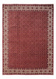 Bidjar - Takab Koberec 252x340cm - Perský koberec