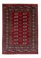 Bukhara Koberec 123x182cm - Orientální koberec